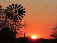 Backyard of property in Lephalale (Ellisras)