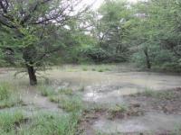 Backyard of property in Lephalale (Ellisras)