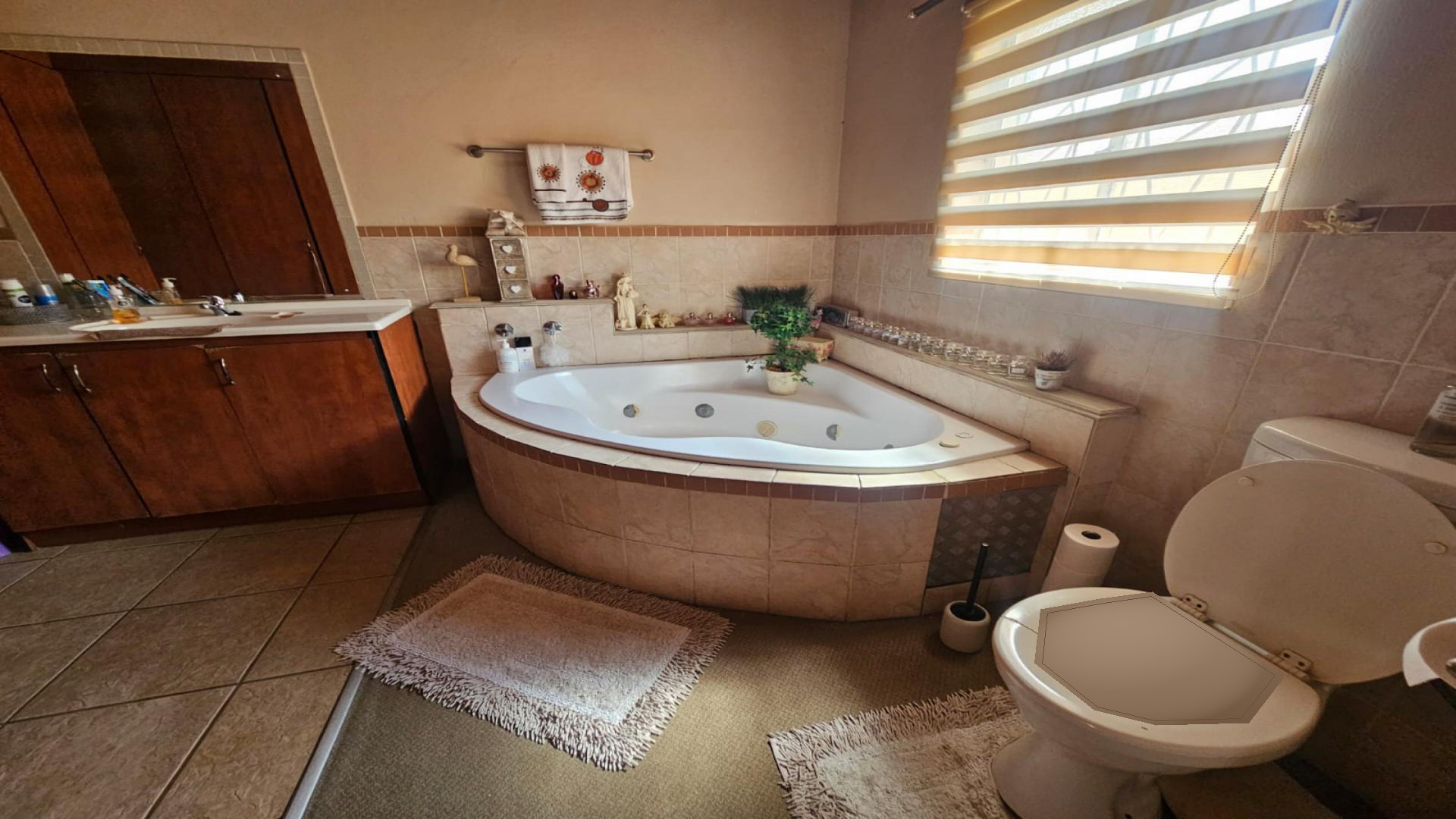 Bathroom 1 of property in Visagiepark