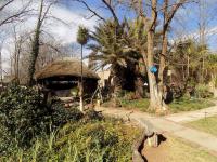 Backyard of property in Roodewal