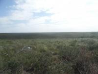 Front View of property in Parsons Vlei