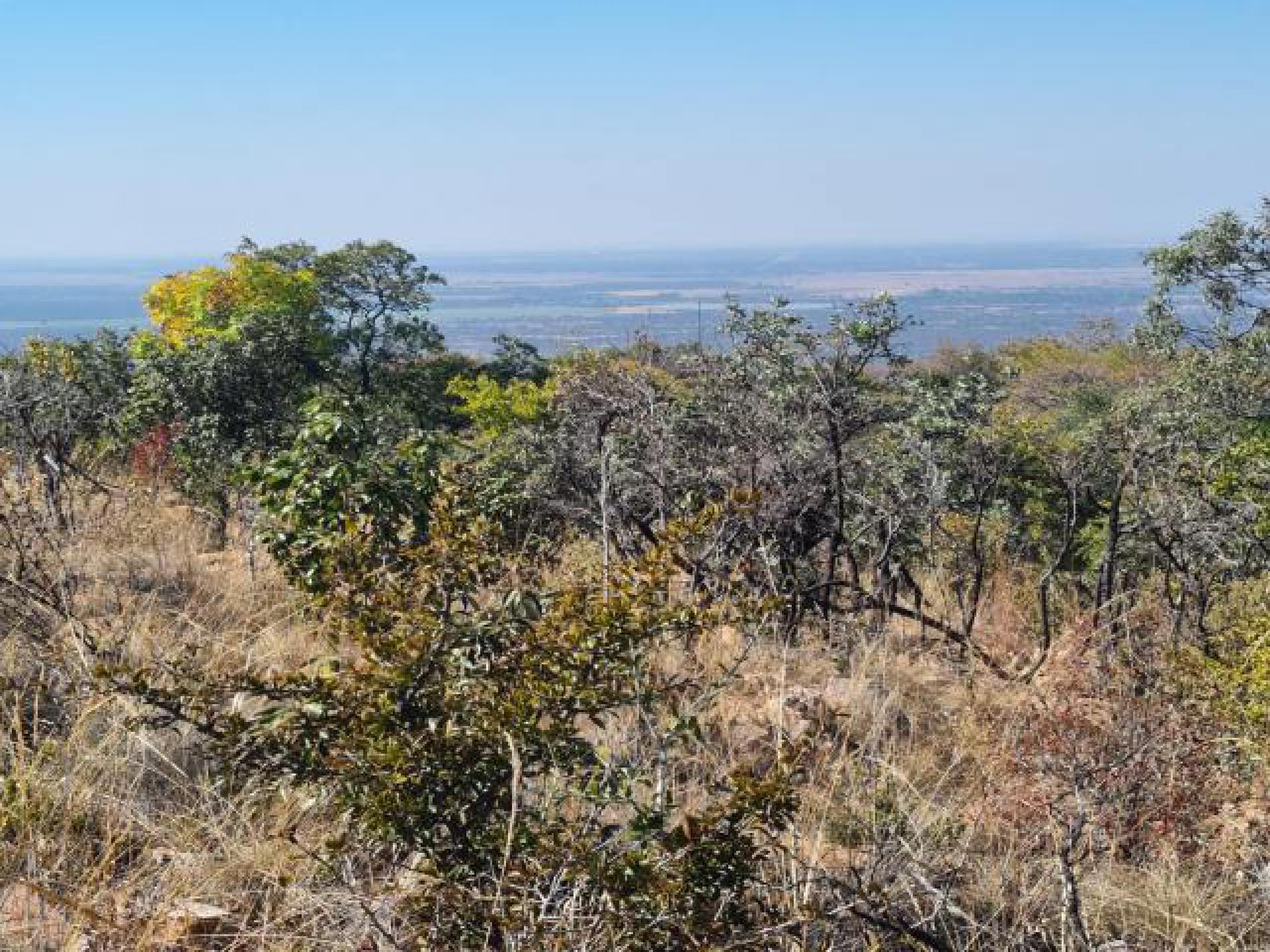 Front View of property in Mookgopong (Naboomspruit)