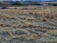 Front View of property in Blair Atholl