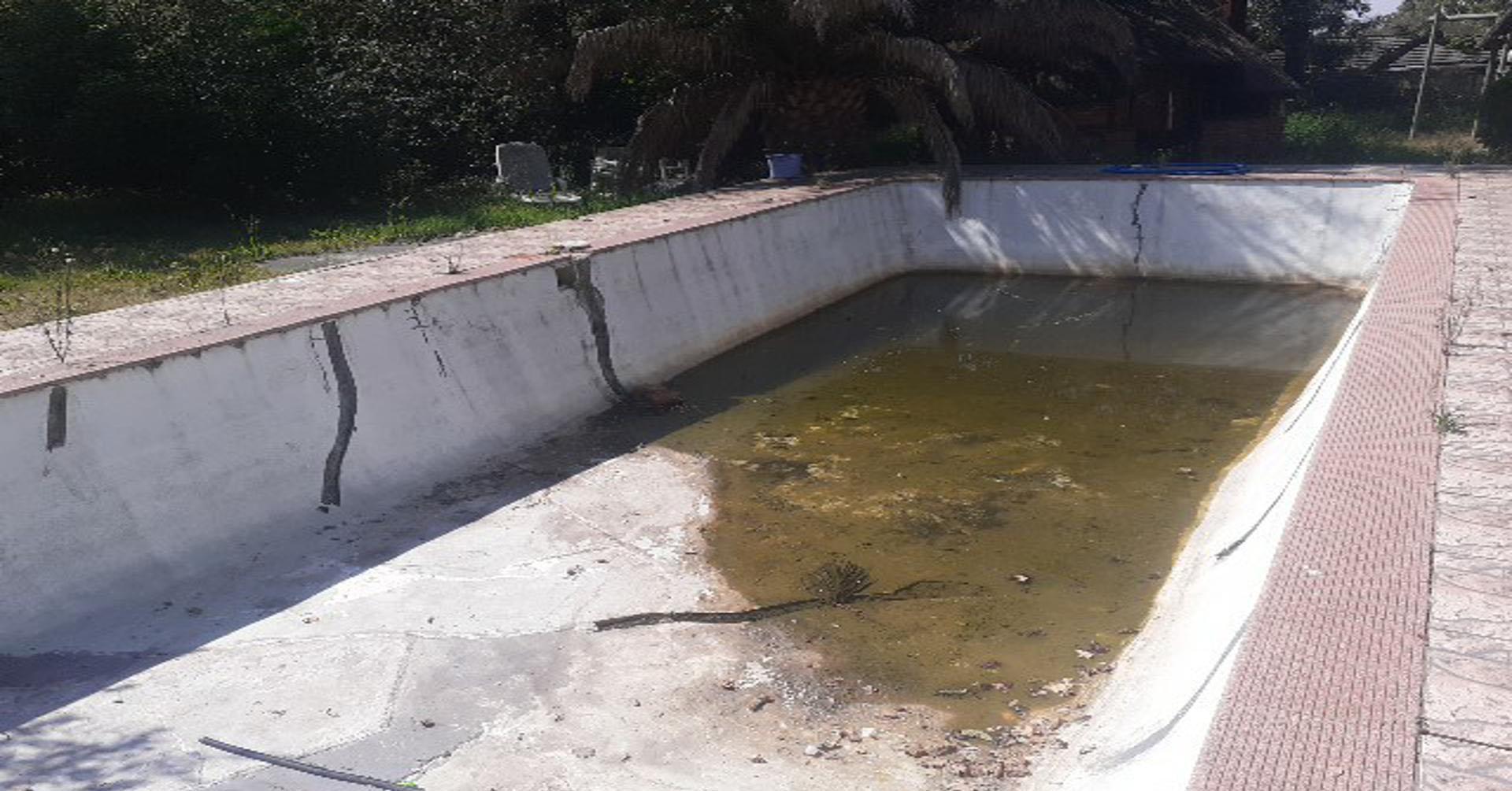 Swimming Pool of property in Ficksburg