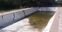 Swimming Pool of property in Ficksburg