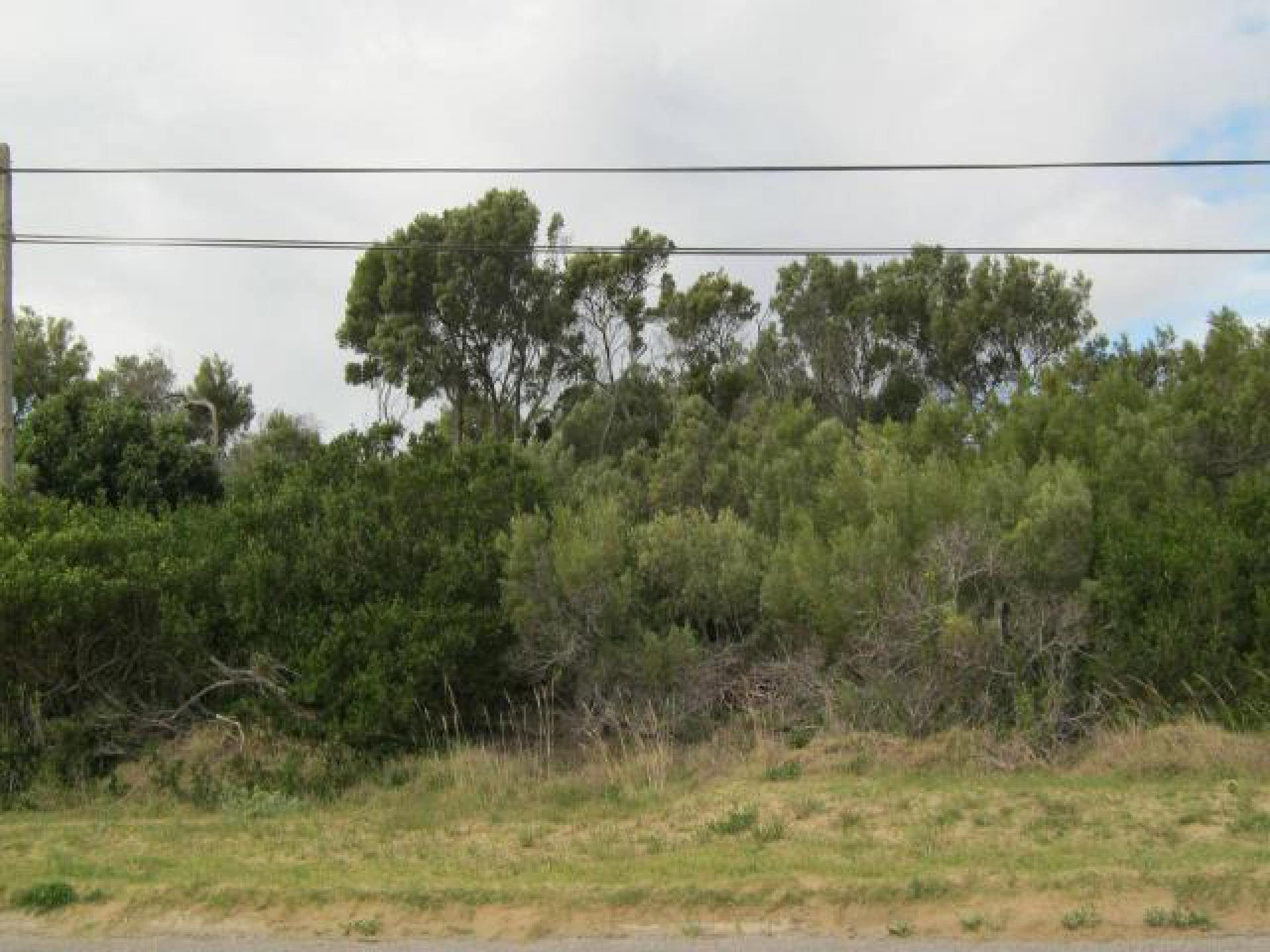 Front View of property in Paradise Beach