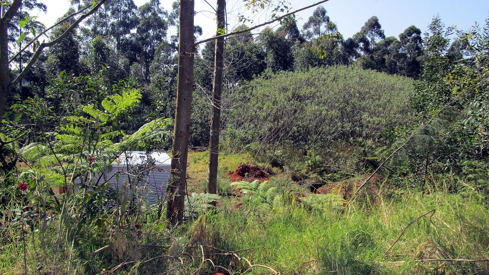 Front View of property in Hilton