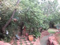 Backyard of property in Ohenimuri