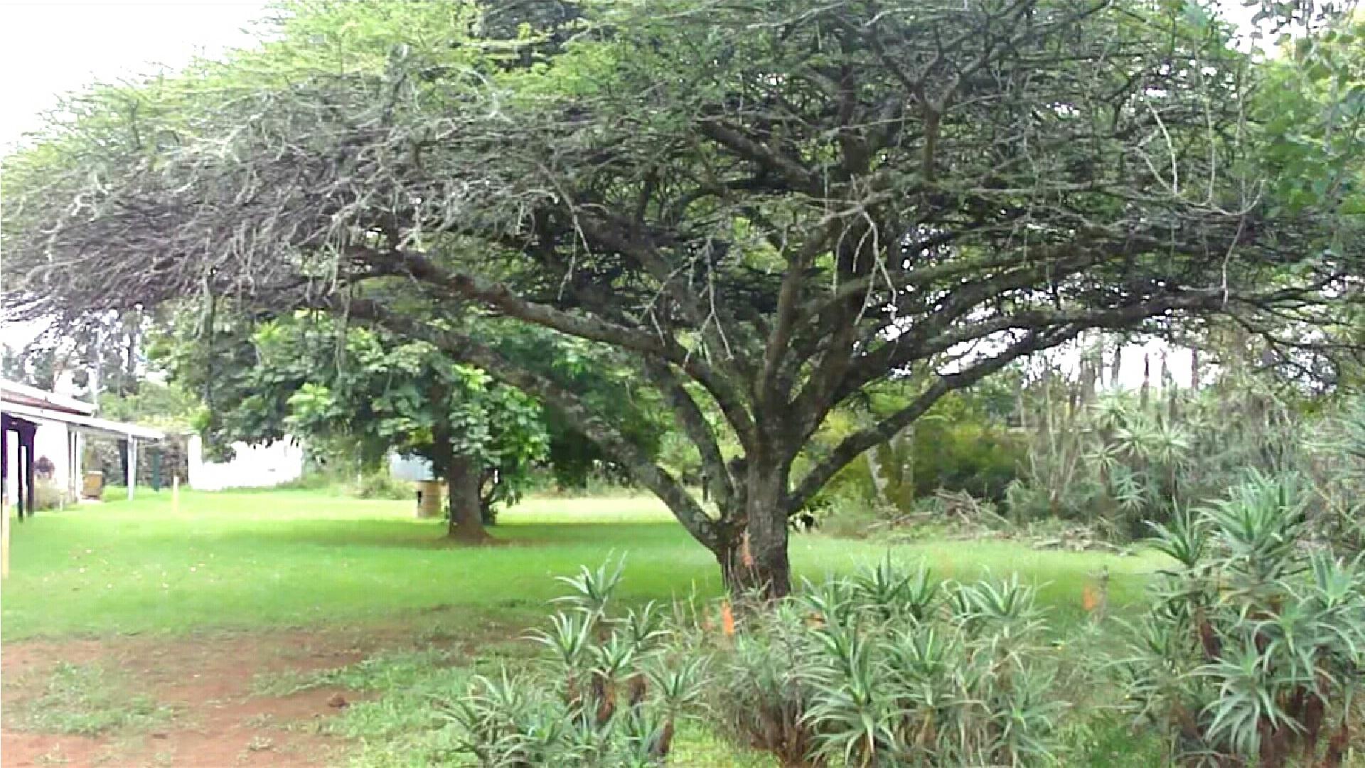 Front View of property in Paulpietersburg