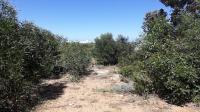 Land for Sale for sale in Kleinmond