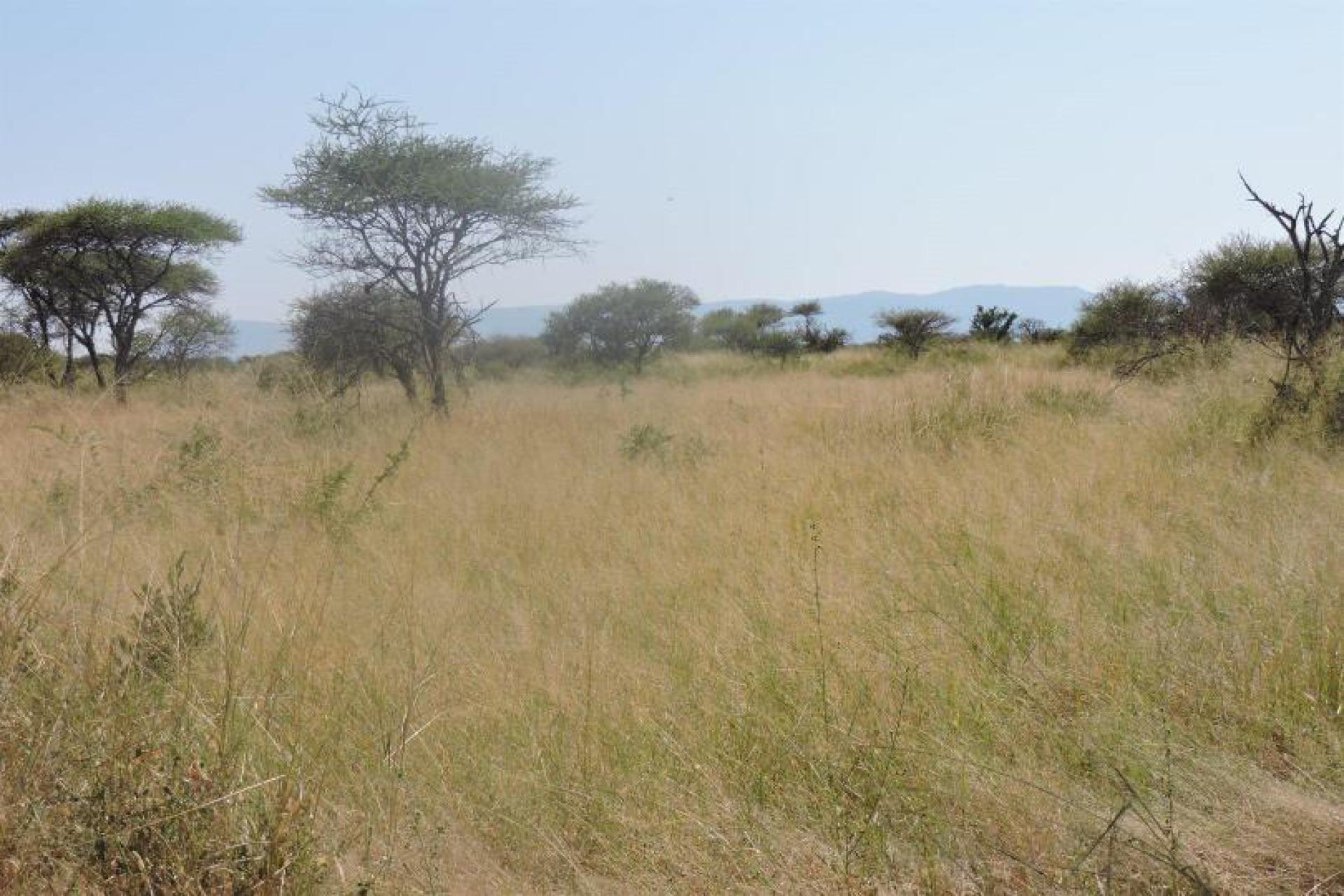 Front View of property in Makhado (Louis Trichard)