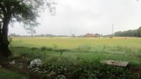 Backyard of property in Mooilande AH