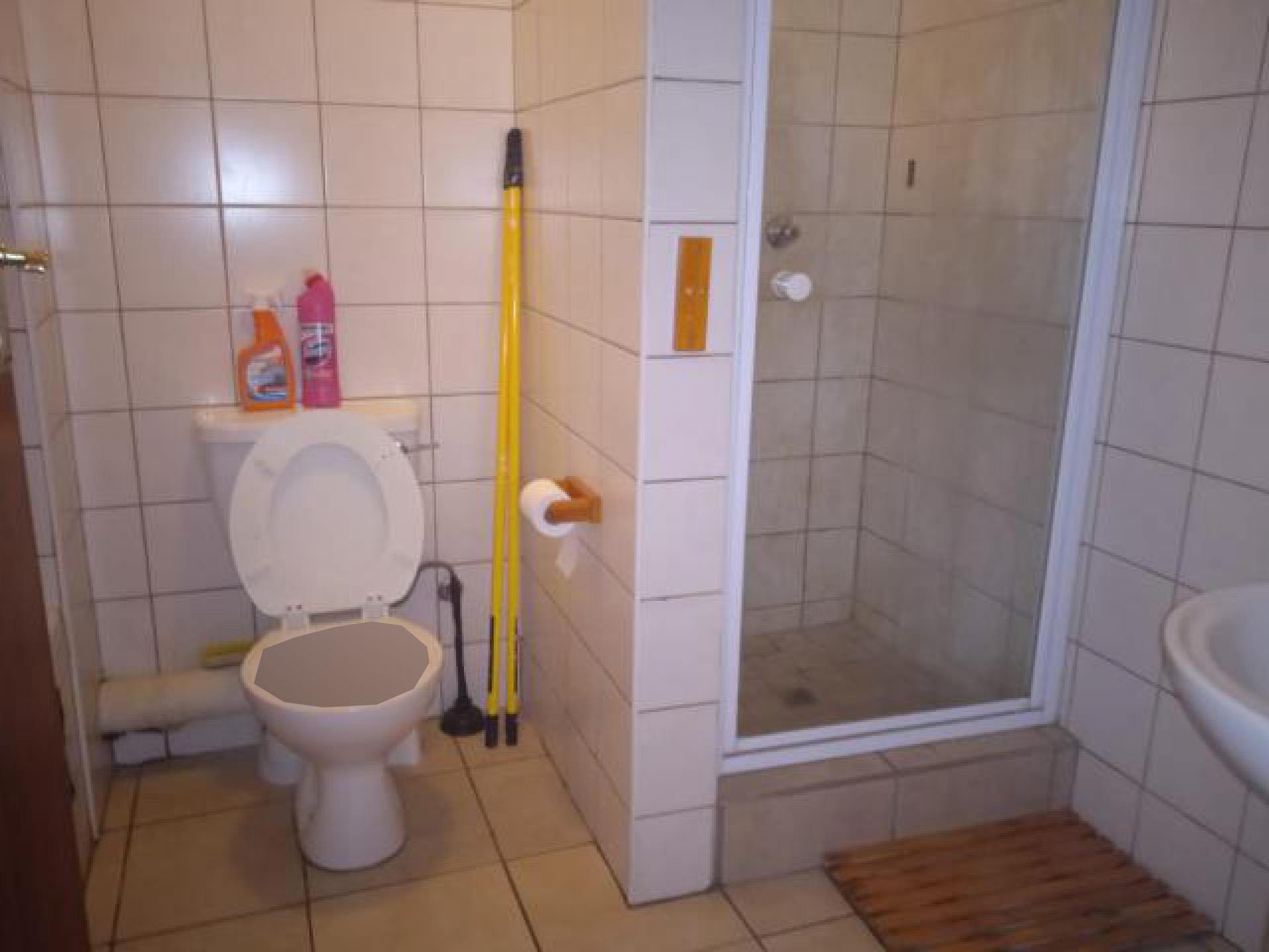 Bathroom 2 of property in Pretoria North