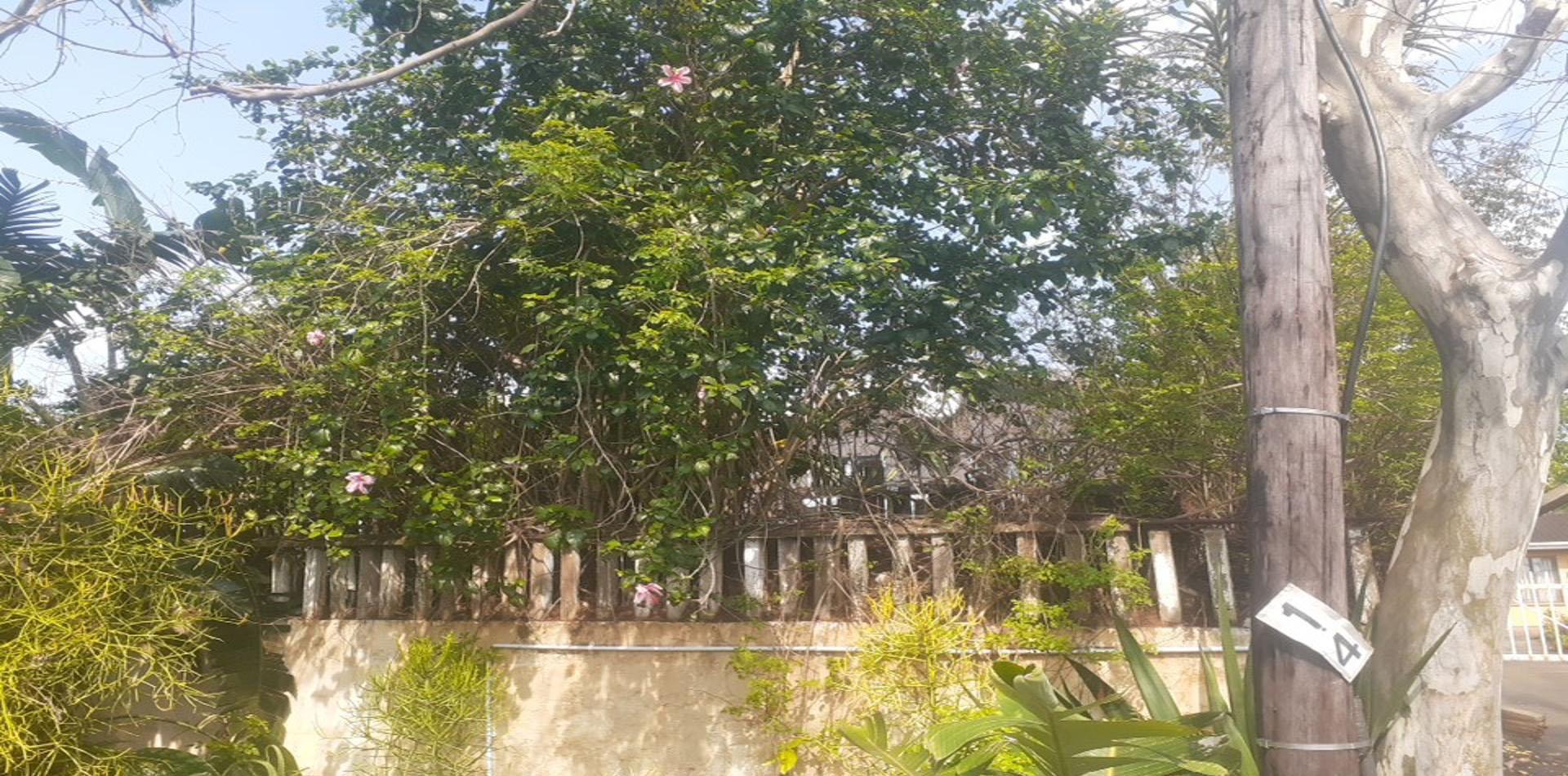 Front View of property in Riverside - DBN