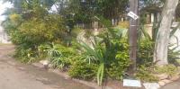 Front View of property in Riverside - DBN