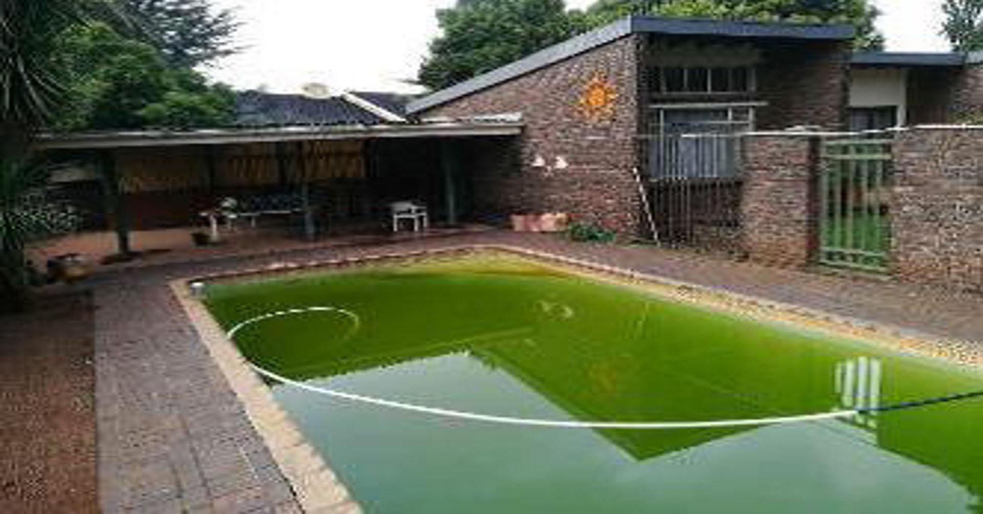 Backyard of property in Kempton Park