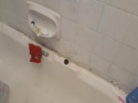 Bathroom 1 - 5 square meters of property in Glen Marais