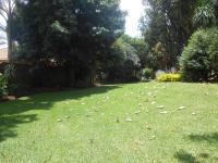 Backyard of property in Terenure