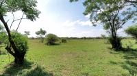 Backyard of property in Pretoria Rural