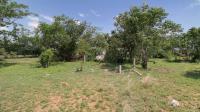 Backyard of property in Pretoria Rural