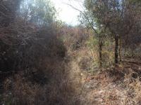 Front View of property in Protea Park (North West)