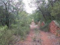 Front View of property in Protea Park (North West)