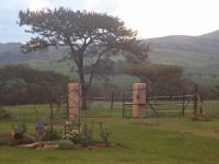 Backyard of property in Geluksburg