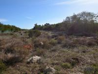 Land for Sale for sale in Morning Star