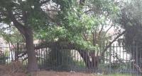 Front View of property in Secunda