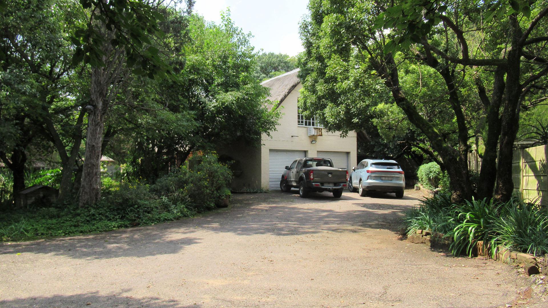 Backyard of property in Buccleuch