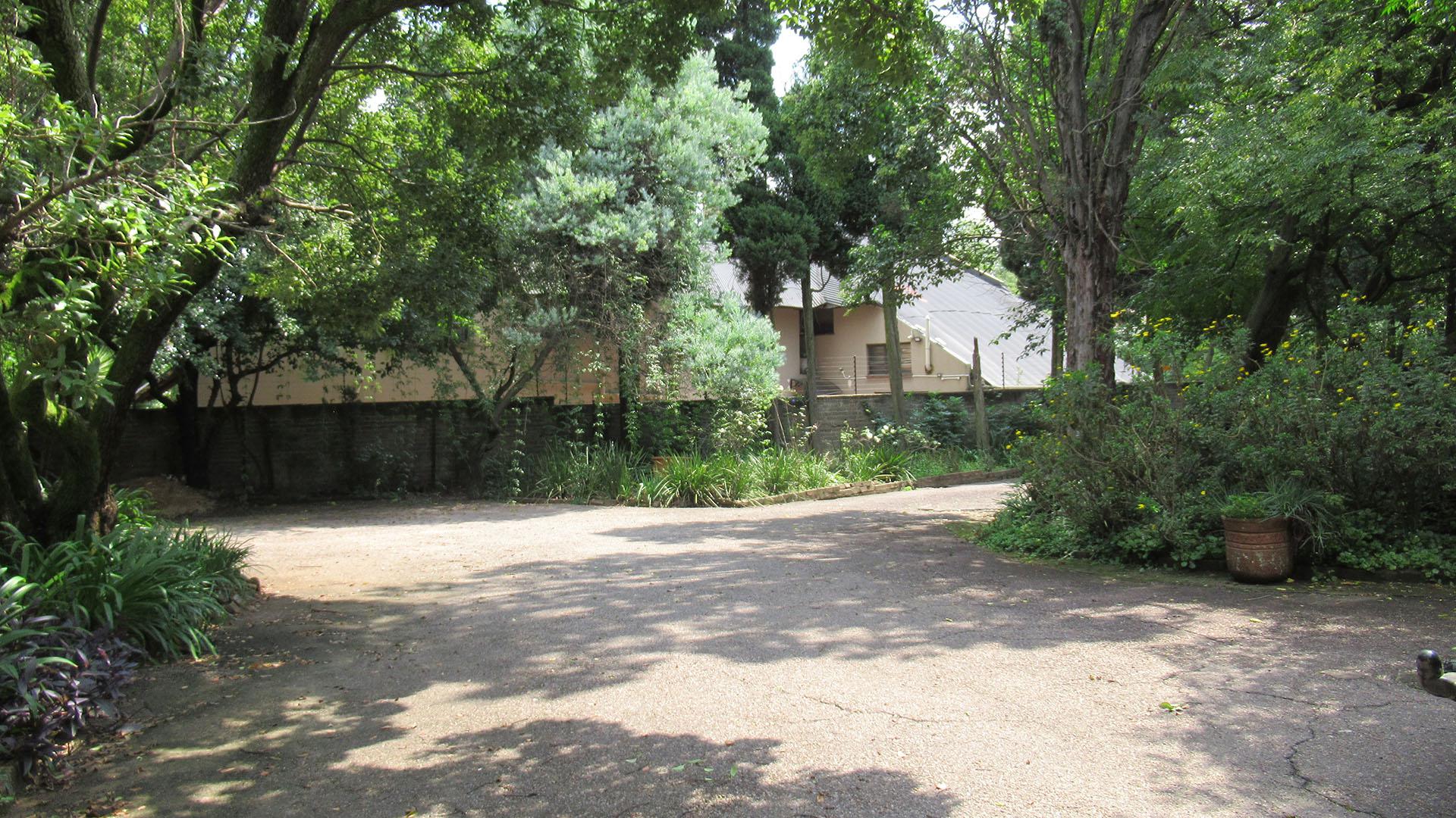 Backyard of property in Buccleuch