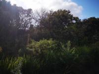 Front View of property in Beacon Bay