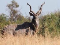  of property in Leeuwfontein Estates