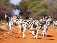  of property in Leeuwfontein Estates