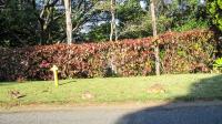 Front View of property in Kloof 