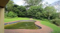 Backyard of property in Kloof 