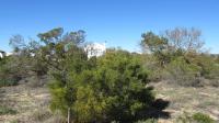 Front View of property in Shelley Point