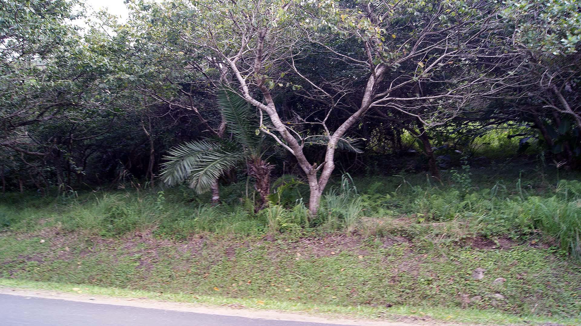 Front View of property in Palm Beach