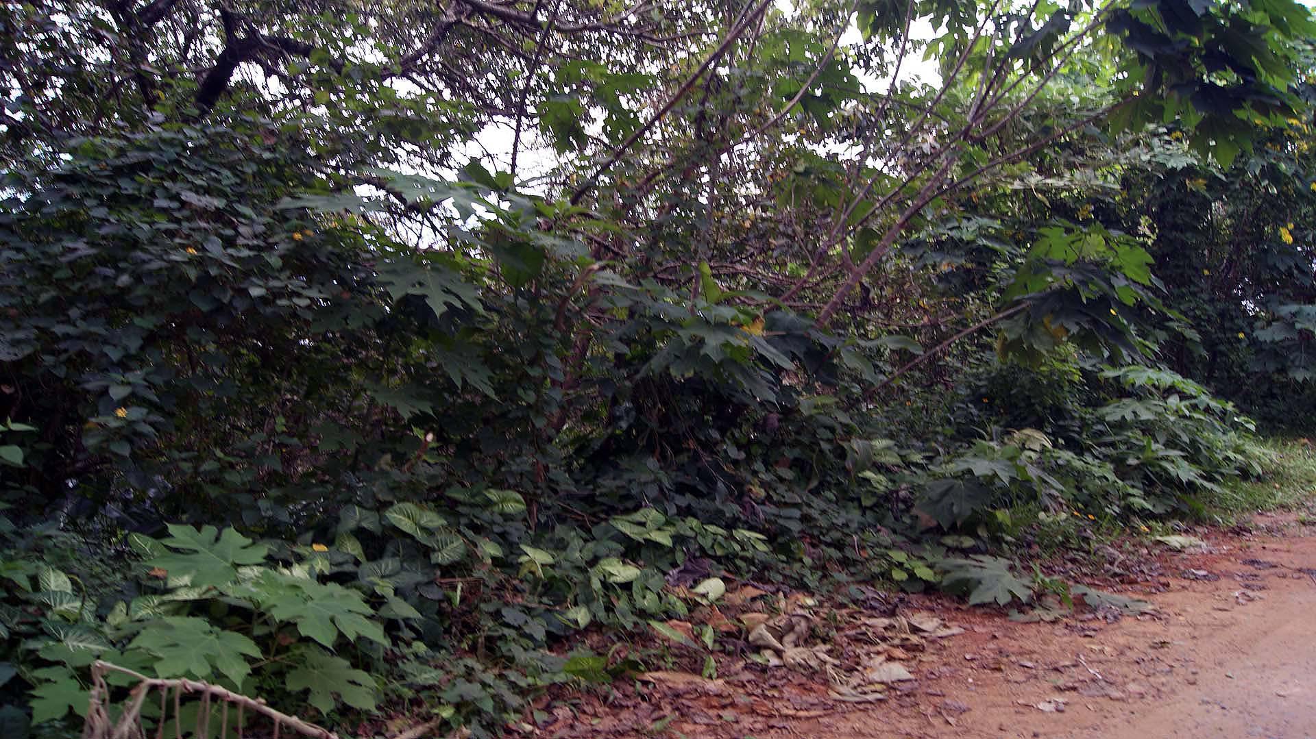 Front View of property in Palm Beach