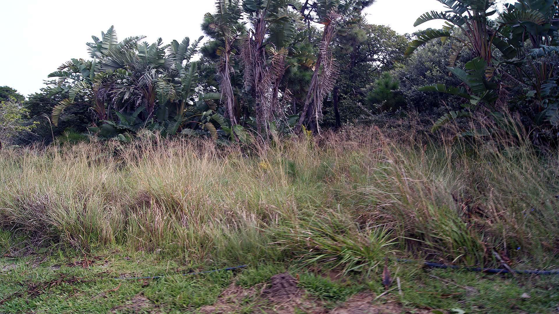 Front View of property in Palm Beach