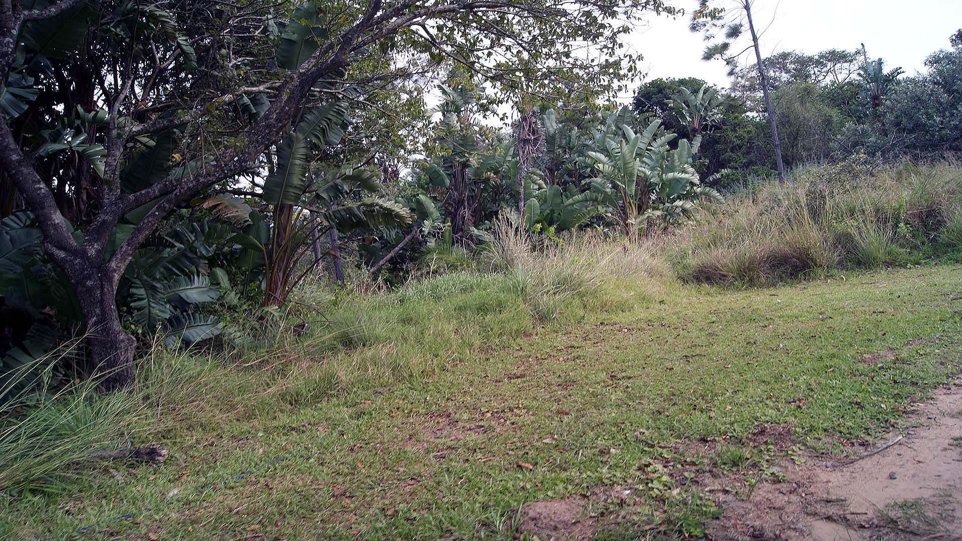 Front View of property in Palm Beach