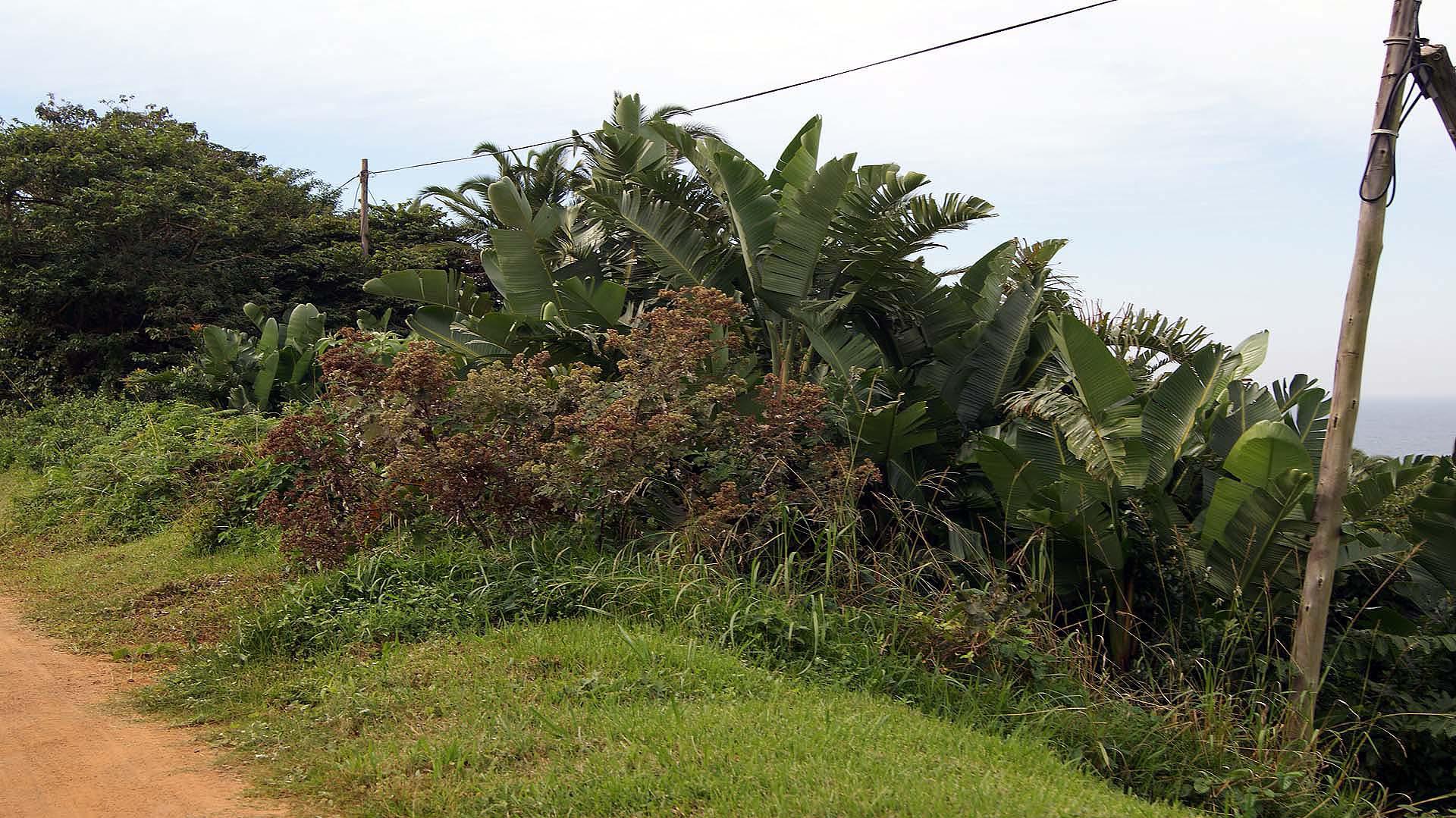 Front View of property in Palm Beach