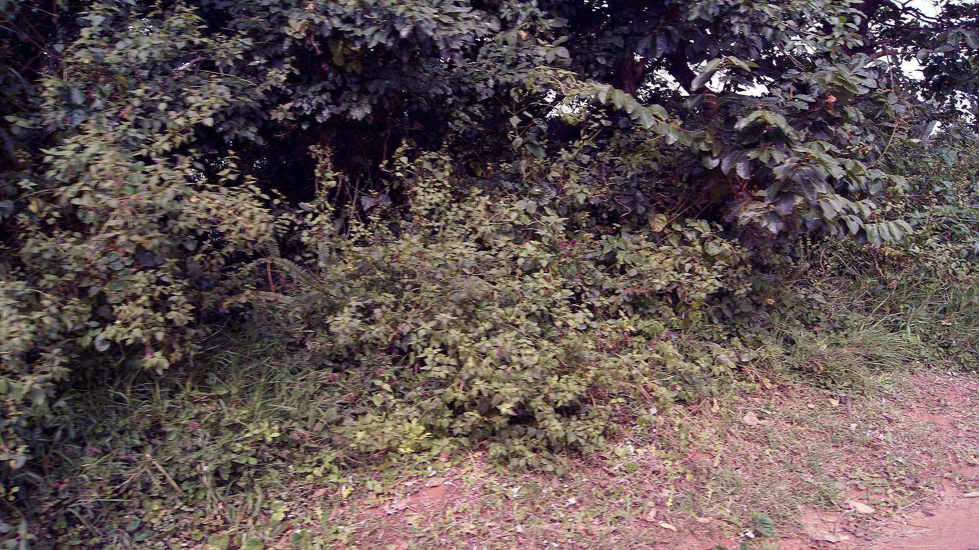 Front View of property in Palm Beach