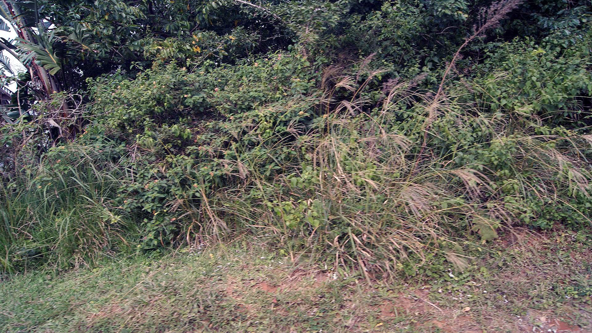 Front View of property in Palm Beach