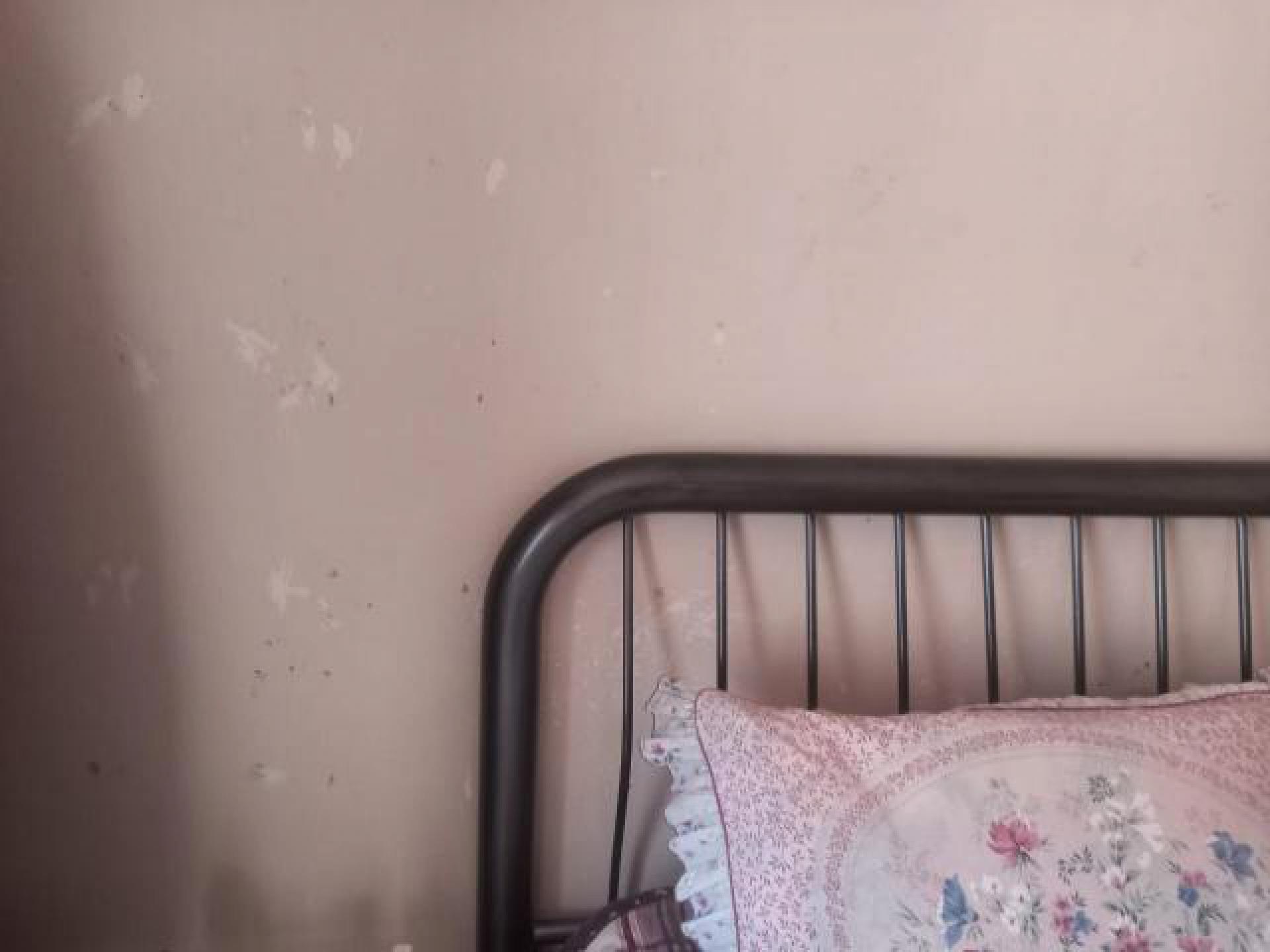 Bed Room 3 - 21 square meters of property in Oberholzer