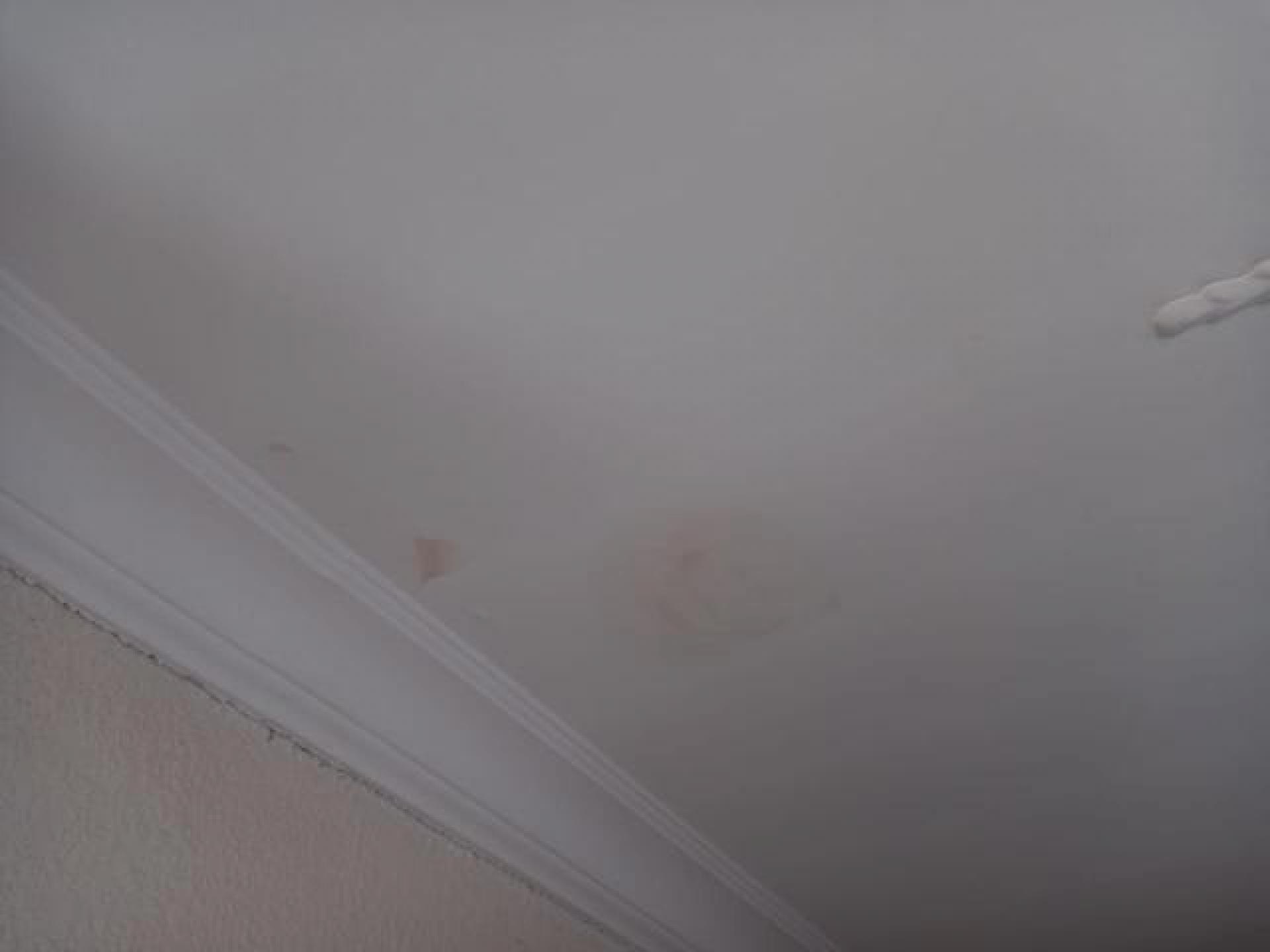 Spaces - 5 square meters of property in Oberholzer