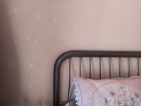 Bed Room 3 - 21 square meters of property in Oberholzer