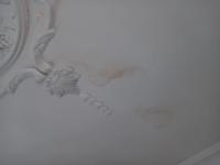 Spaces - 5 square meters of property in Oberholzer