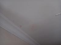 Spaces - 5 square meters of property in Oberholzer