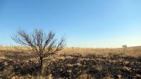 Front View of property in Emalahleni (Witbank) 